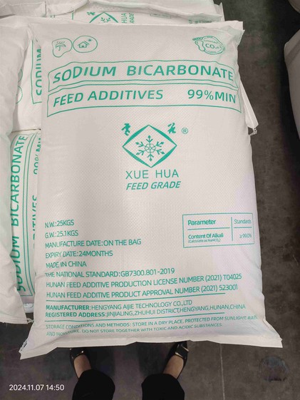 20241113145128 20241113145128